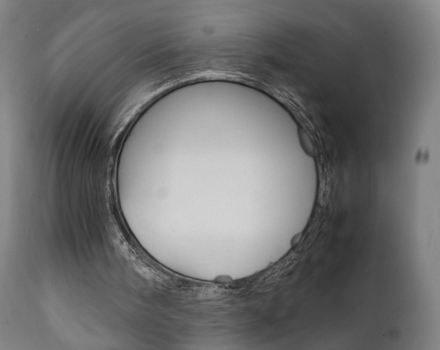 X0000112090098200908041058