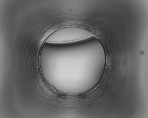 X0000112090099200908041058