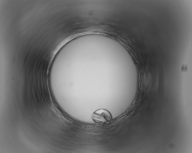 X0000112090100200908041058