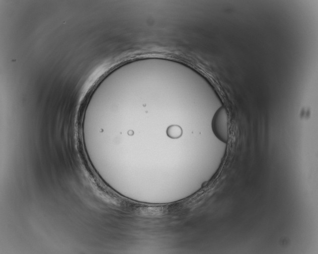 X0000112090102200908041058