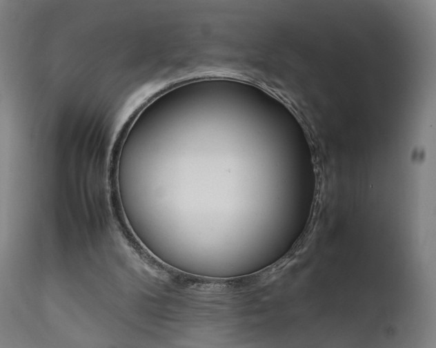 X0000112090104200908041058