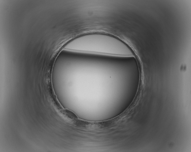 X0000112090105200908041058