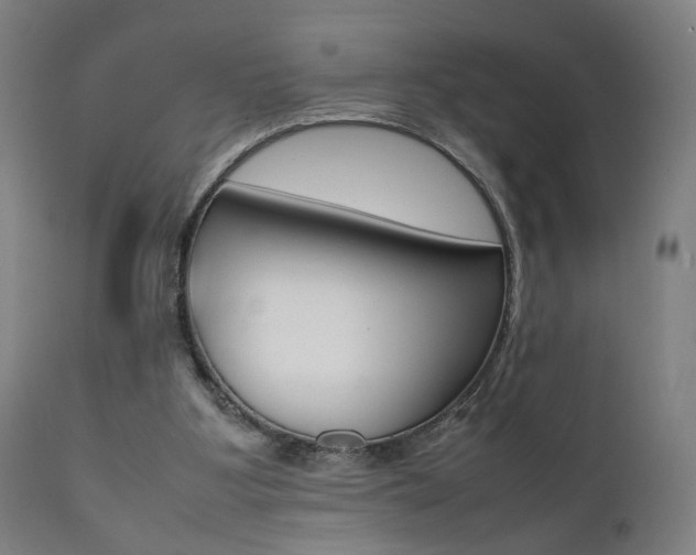 X0000112090107200908041058