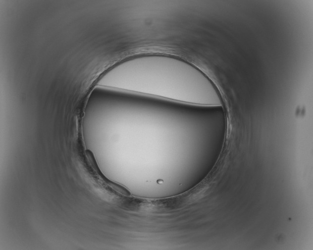 X0000112090109200908041058