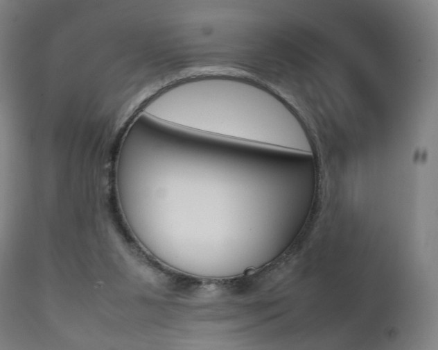 X0000112090111200908041058