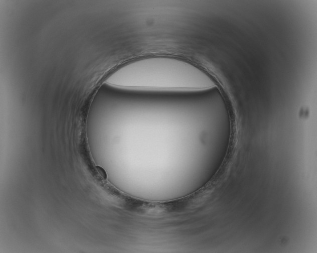 X0000112090113200908041058