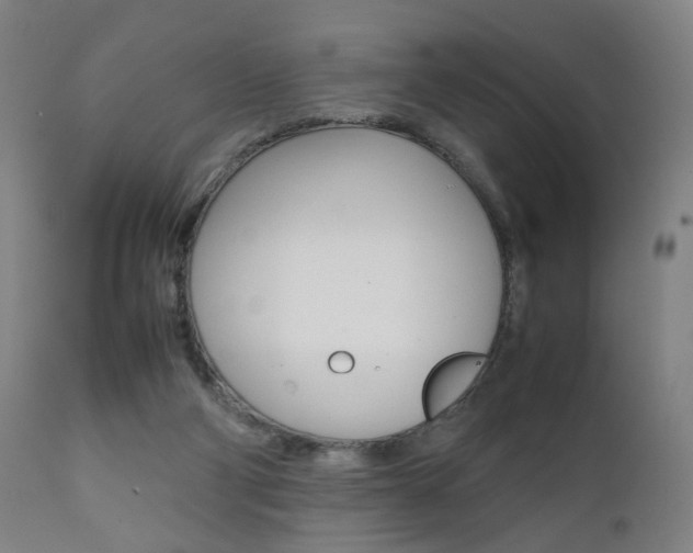 X0000112090114200908041058