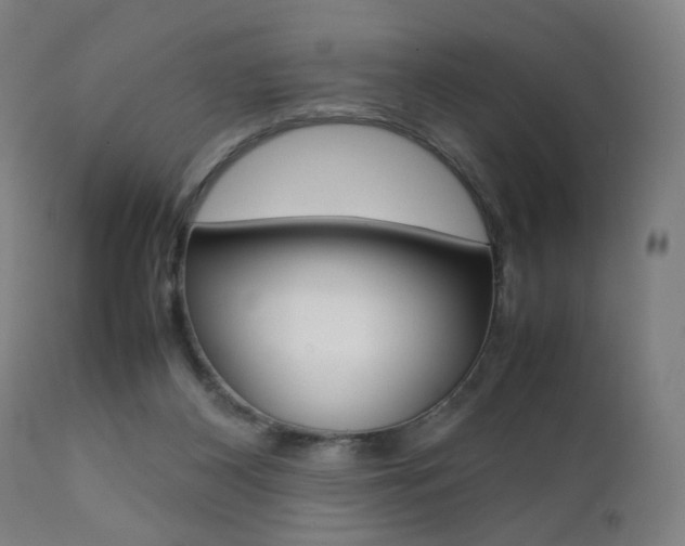 X0000112090116200908041057
