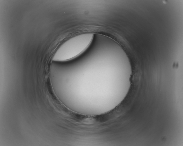 X0000112090119200908041057