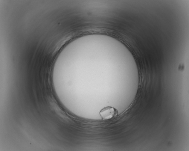 X0000112090120200908041057