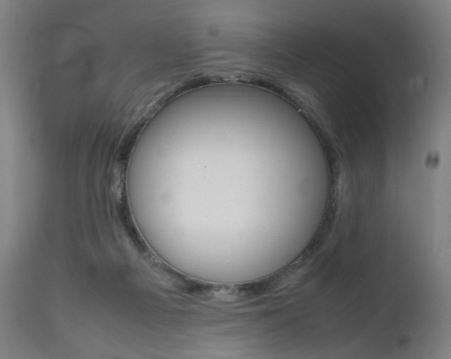 X0000112090121200908041057