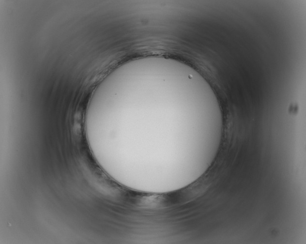 X0000112090122200908041057
