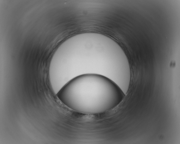 X0000112090124200908041057