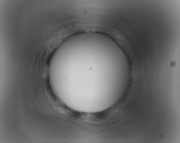 X0000112090125200908041057