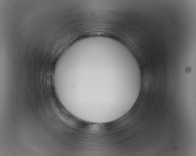 X0000112090126200908041057