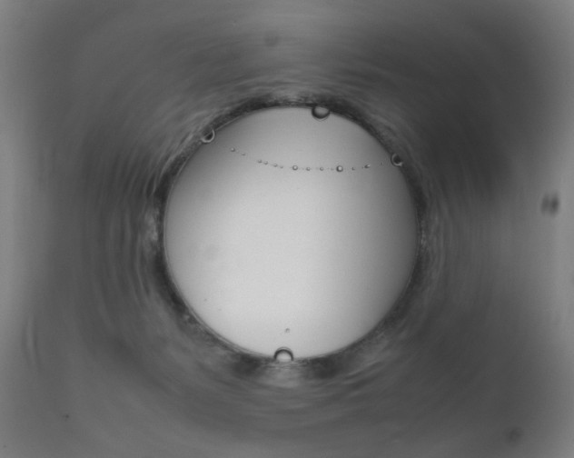 X0000112090127200908041057