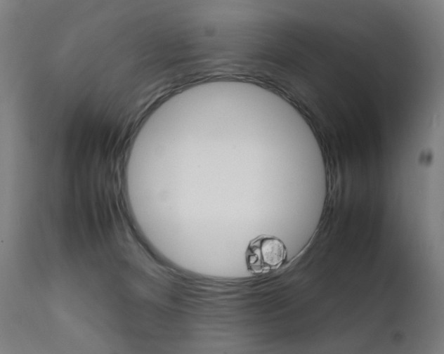 X0000112090128200908041057