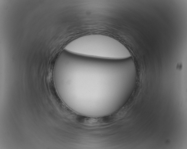 X0000112090129200908041057