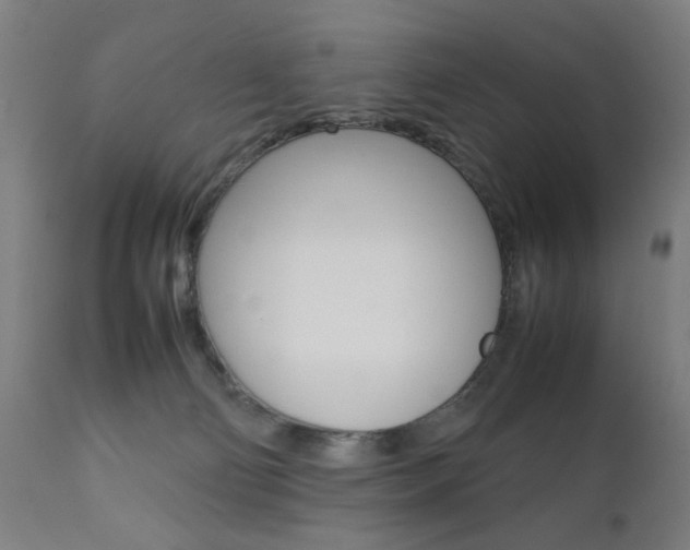 X0000112090130200908041057