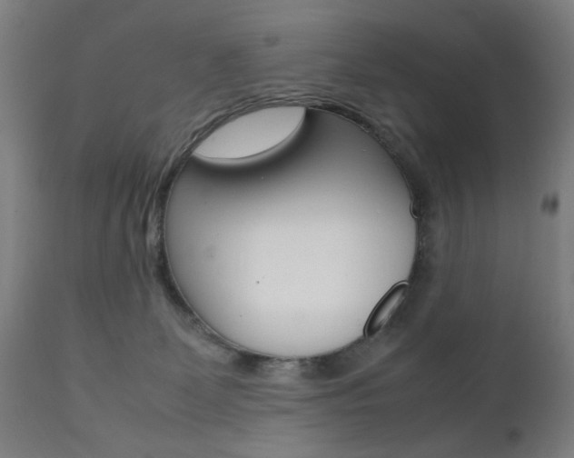 X0000112090131200908041057