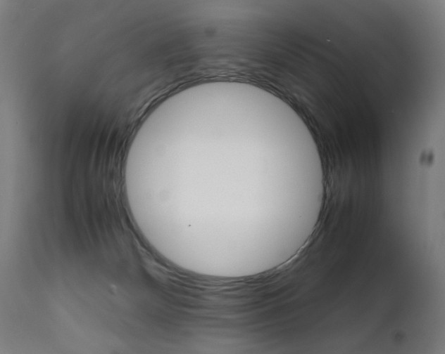 X0000112090132200908041057