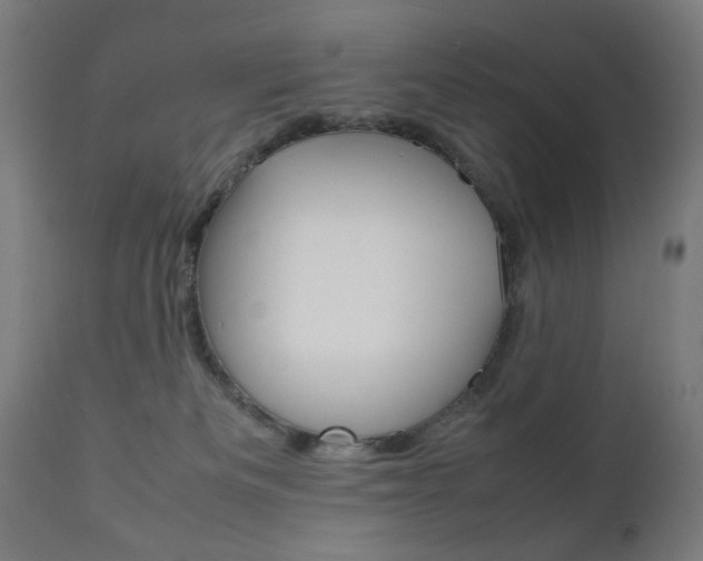 X0000112090133200908041057