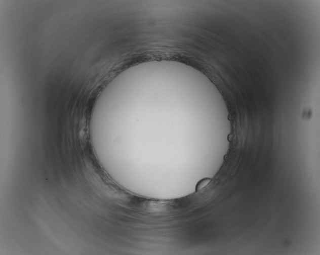 X0000112090134200908041057