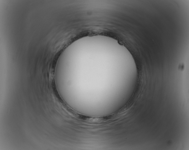 X0000112090135200908041057