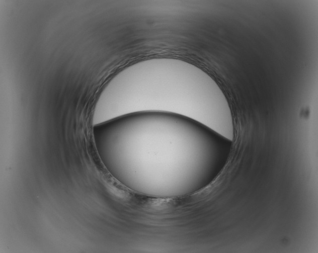 X0000112090136200908041057