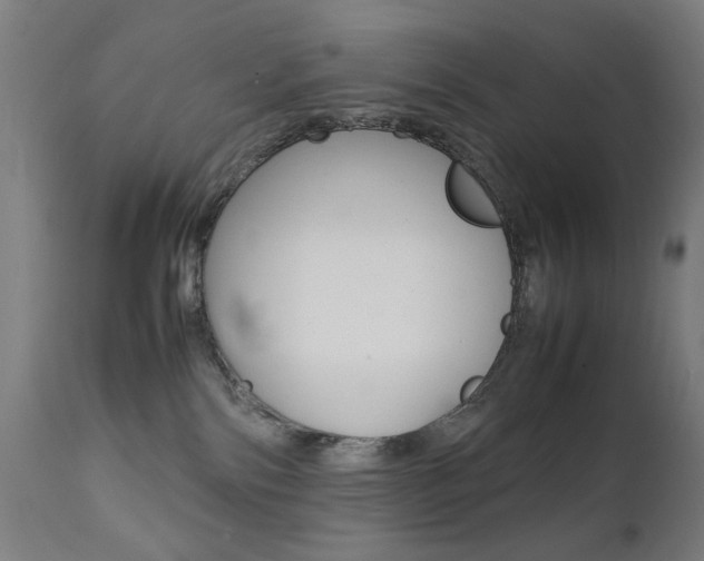 X0000112090138200908041057