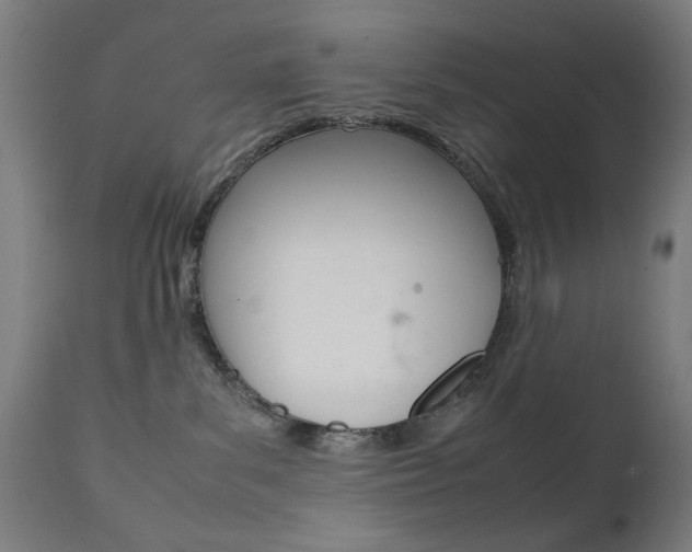 X0000112090139200908041057