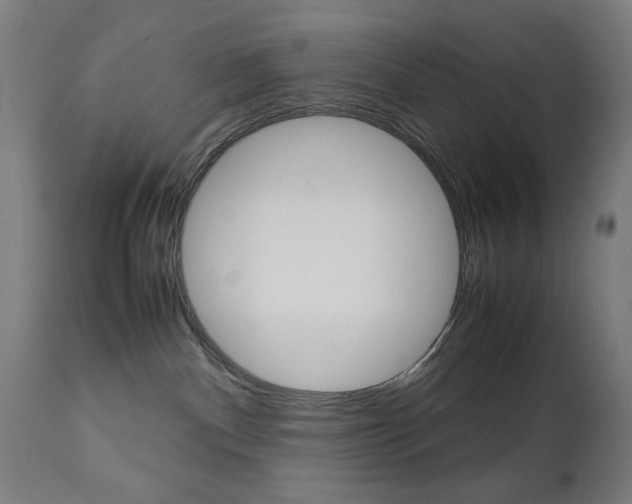 X0000112090140200908041057