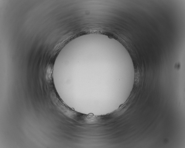 X0000112090142200908041057