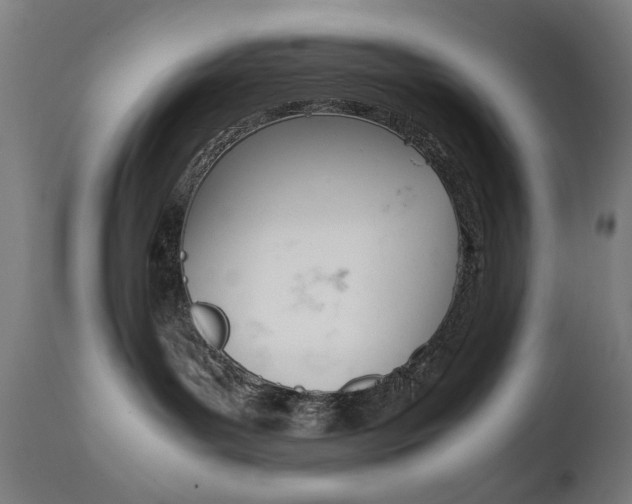 X0000112090143200908041057