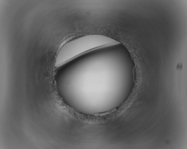 X0000112090144200908041057