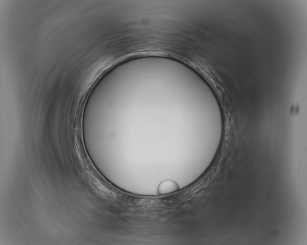 X0000112090145200908041056