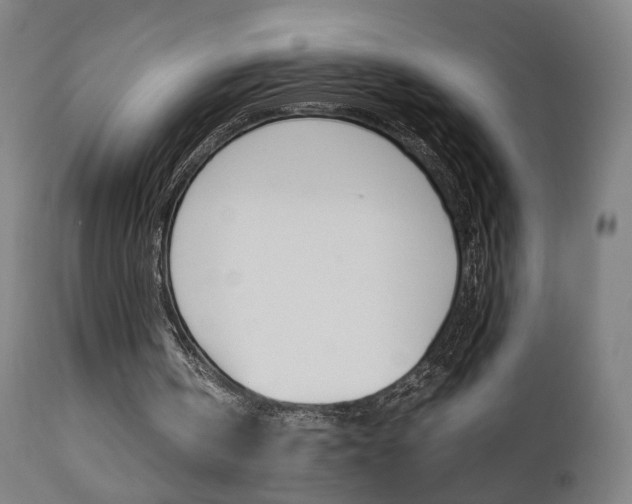 X0000112090146200908041056