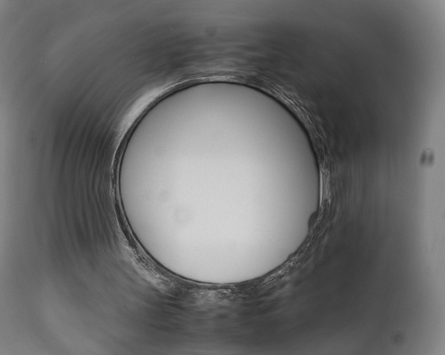 X0000112090147200908041056