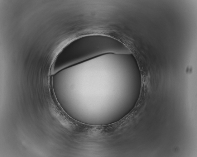 X0000112090148200908041056