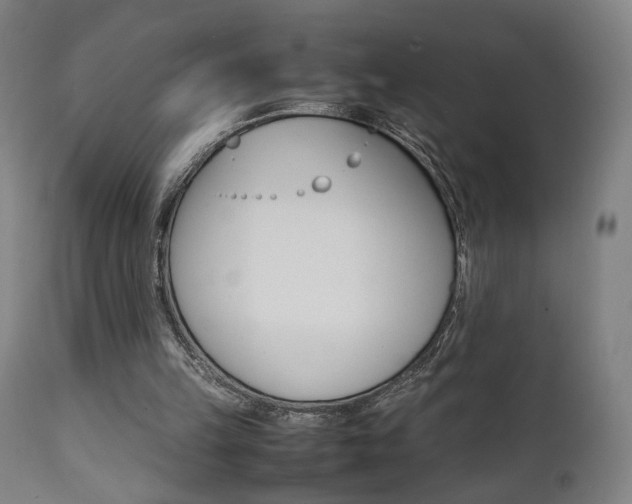 X0000112090149200908041056