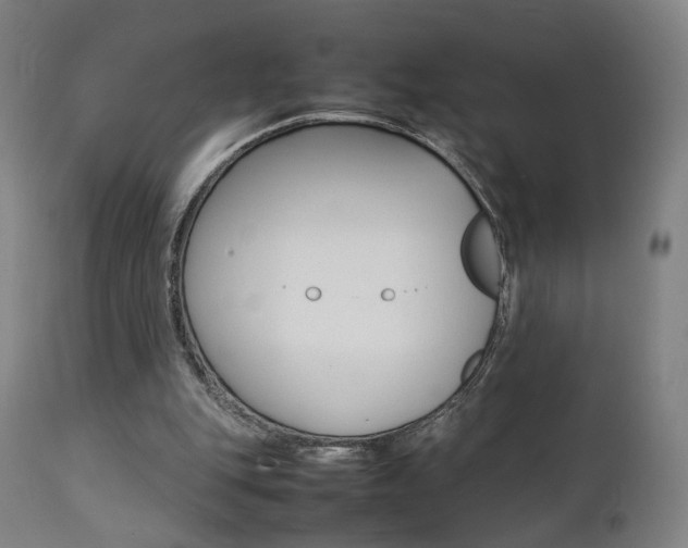 X0000112090151200908041056