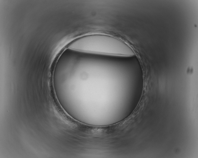 X0000112090152200908041056