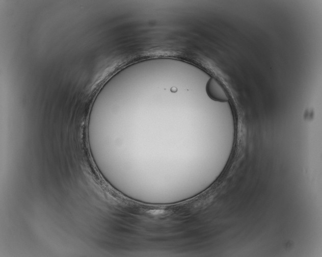 X0000112090153200908041056