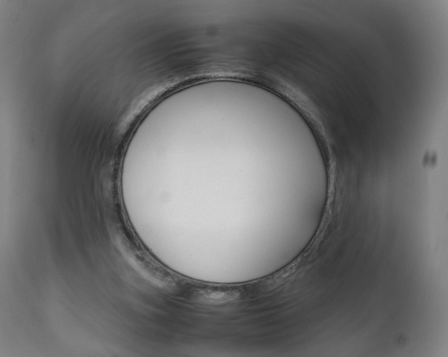 X0000112090155200908041056