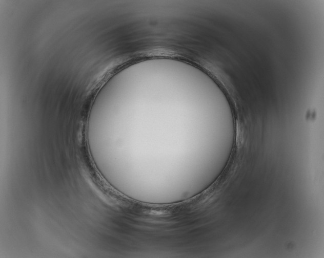 X0000112090157200908041056