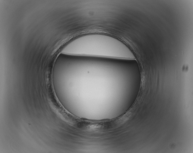 X0000112090158200908041056