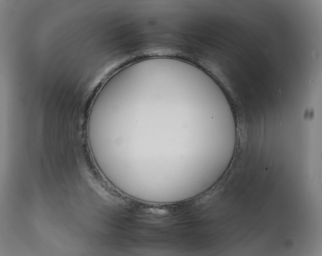 X0000112090159200908041056
