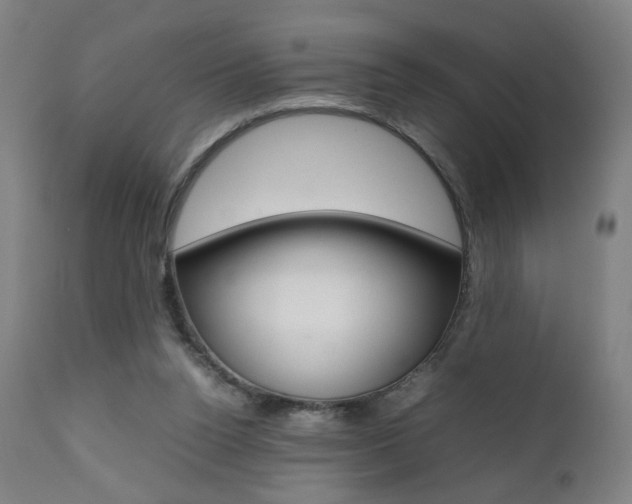 X0000112090160200908041056