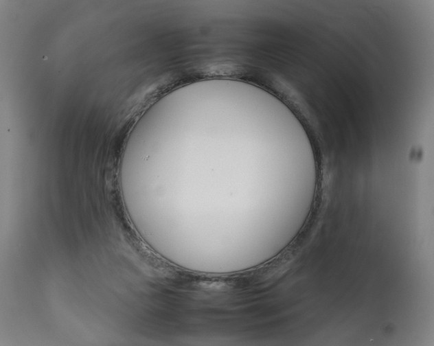 X0000112090161200908041056