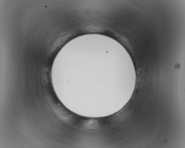 X0000112090162200908041057